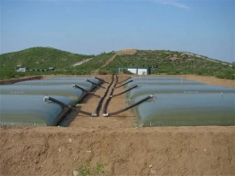 TPU Flexible Tank Oil Storage Bladder/Plastic Fuel Storage Tanks