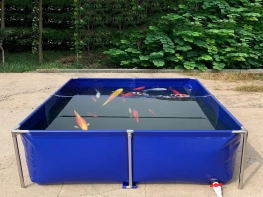 Stainless Steel Fish Ponds Arowana / Betta Fish Farming Tanks Outdoor Fish Pool For Sale