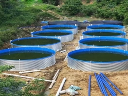 Aquaculture Big Biofloc Fish Tank Suppliers PVC Tarpaulin Round Fish Farming Tank Shrimp Pond