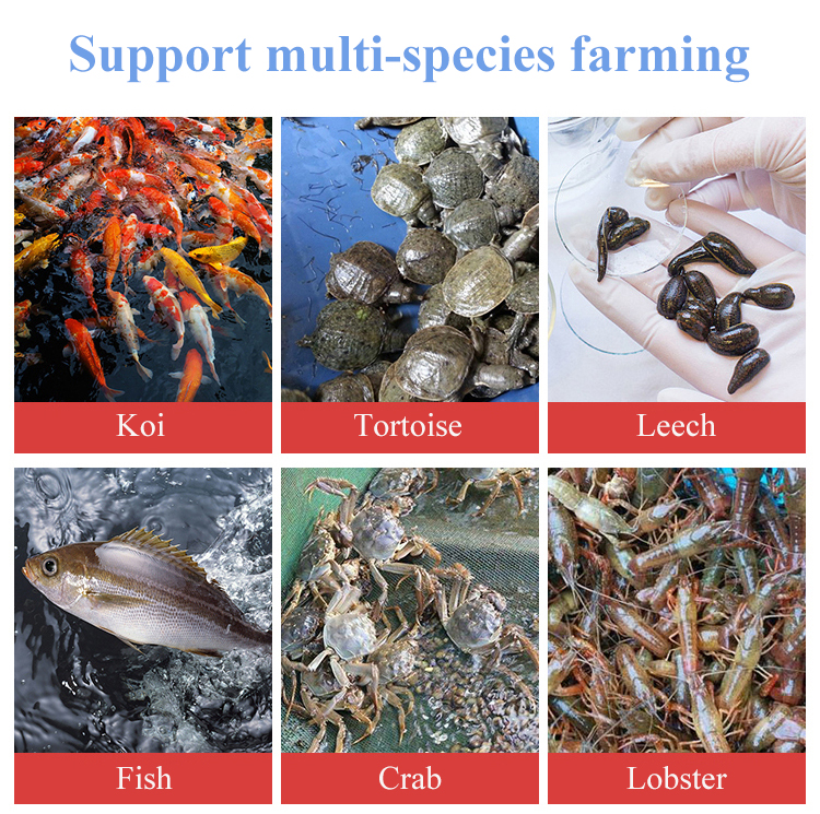 e4a8750c7236bbf65ca3ee4d90792296_H85784517508a4b88be9a1799bc8b7d71c